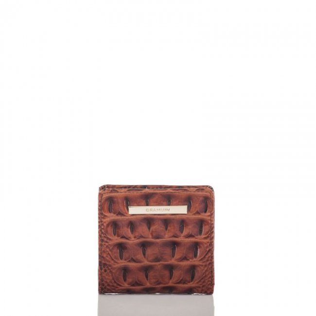 Brahmin | Women's Jane Pecan Melbourne | Quick Ship!
