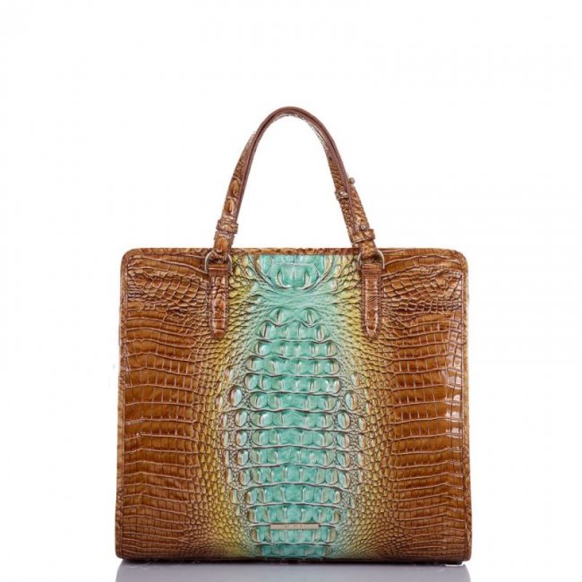 Brahmin | Women's Tia Cactus Ombre Melbourne | Quick Ship!