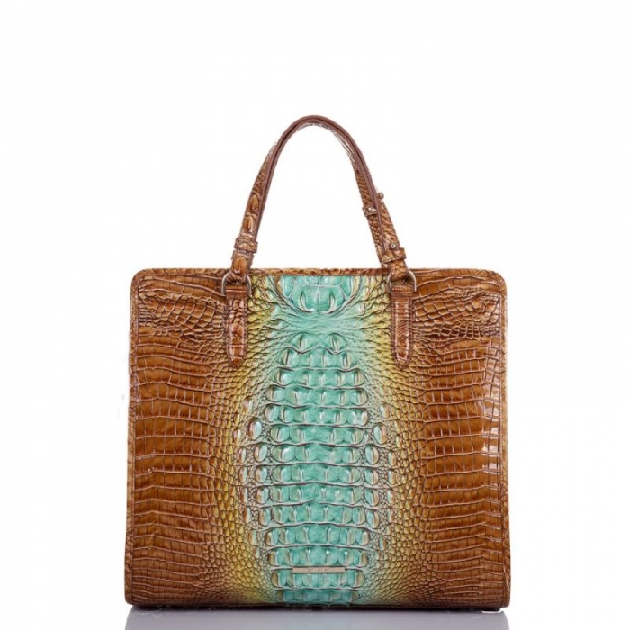 Brahmin | Women's Tia Cactus Ombre Melbourne | Quick Ship!