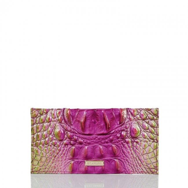 Brahmin | Women's Cordelia Checkbook Limeade Ombre Melbourne | Quick Ship!