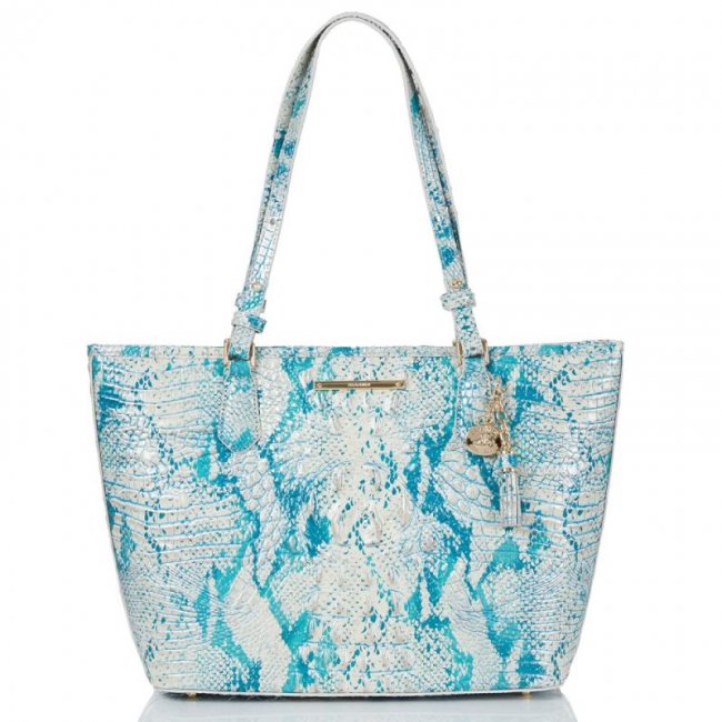 Brahmin | Women's Medium Asher Mesmerized Melbourne | Quick Ship!