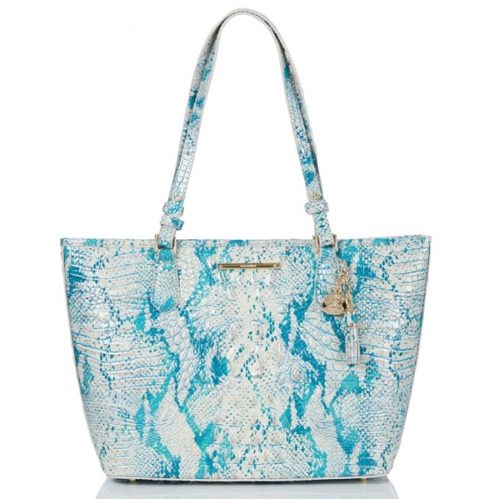 Brahmin | Women's Medium Asher Mesmerized Melbourne | Quick Ship!