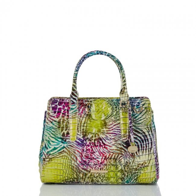 Brahmin | Women's Small Finley Wild Melbourne | Quick Ship!