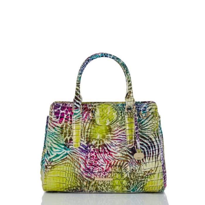 Brahmin | Women's Small Finley Wild Melbourne | Quick Ship!
