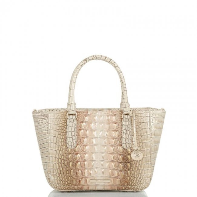 Brahmin | Women's Small Ashlee Scallop Ombre Melbourne | Quick Ship!