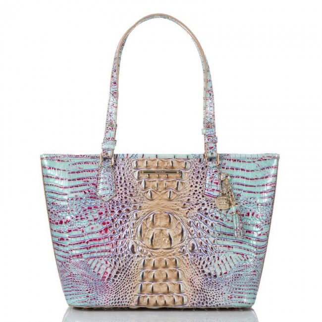 Brahmin | Women's Medium Asher Seltzer Ombre Melbourne | Quick Ship!