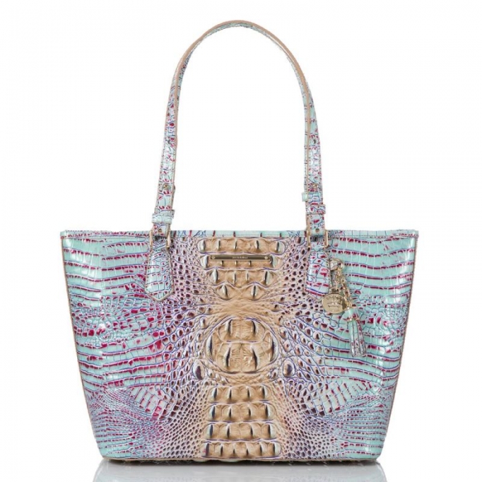 Brahmin | Women's Medium Asher Seltzer Ombre Melbourne | Quick Ship!