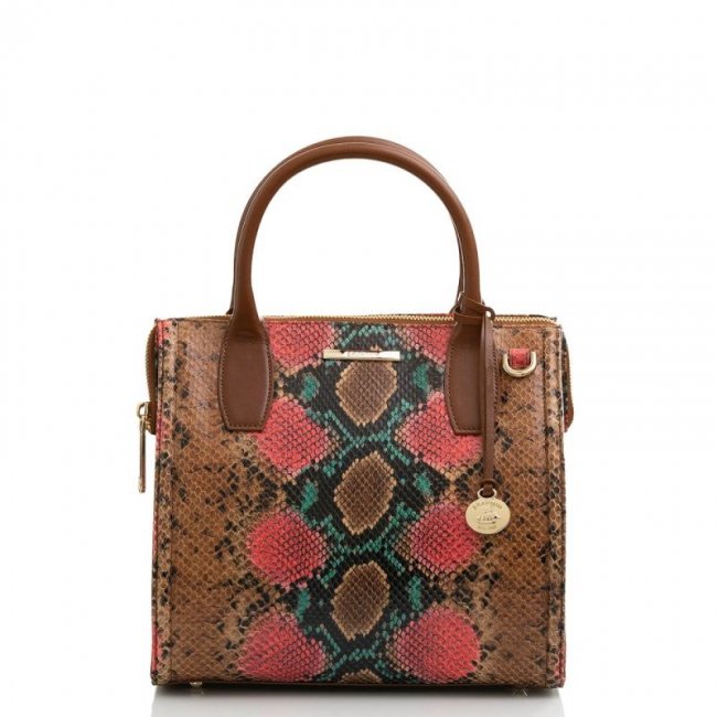Brahmin | Women's Small Caroline Multi Caladesi | Quick Ship!