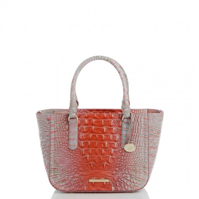Brahmin | Women's Small Ashlee Flirty Ombre Melbourne | Quick Ship!