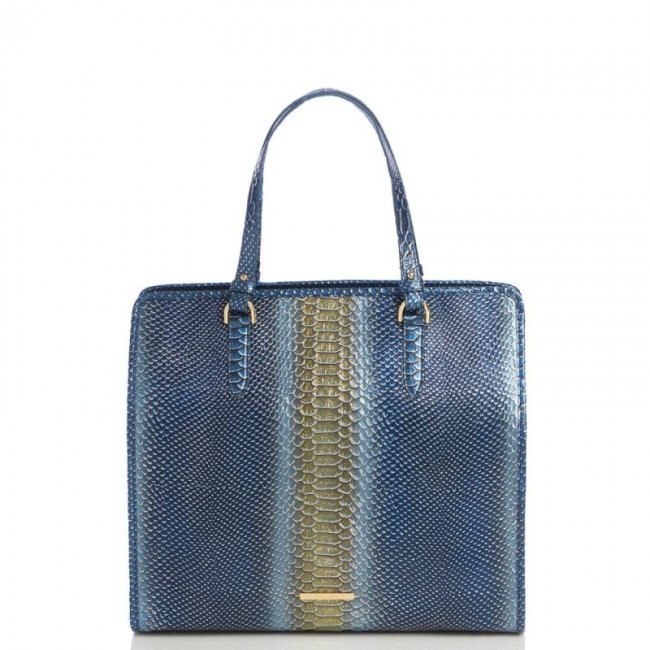 Brahmin | Women's Tia Serenity Meridian | Quick Ship!