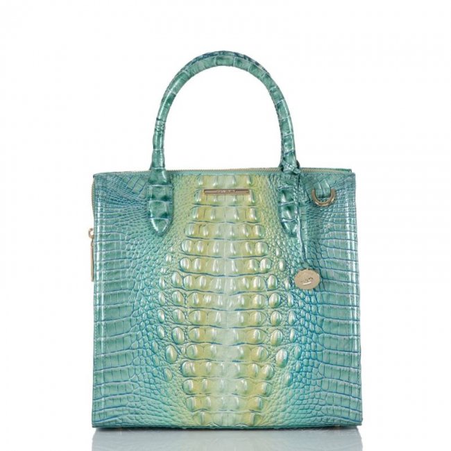 Brahmin | Women's Caroline Seafoam Ombre Melbourne | Quick Ship!