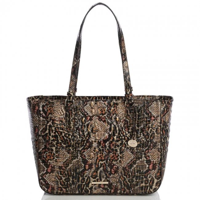 Brahmin | Women's Ashlee Charisma Melbourne | Quick Ship!