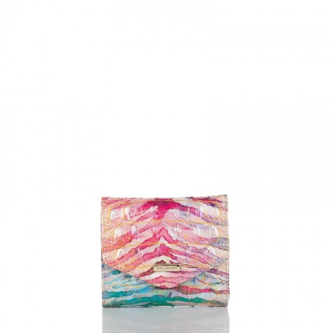 Brahmin | Women's Small Veronica Entice Ombre Melbourne | Quick Ship!