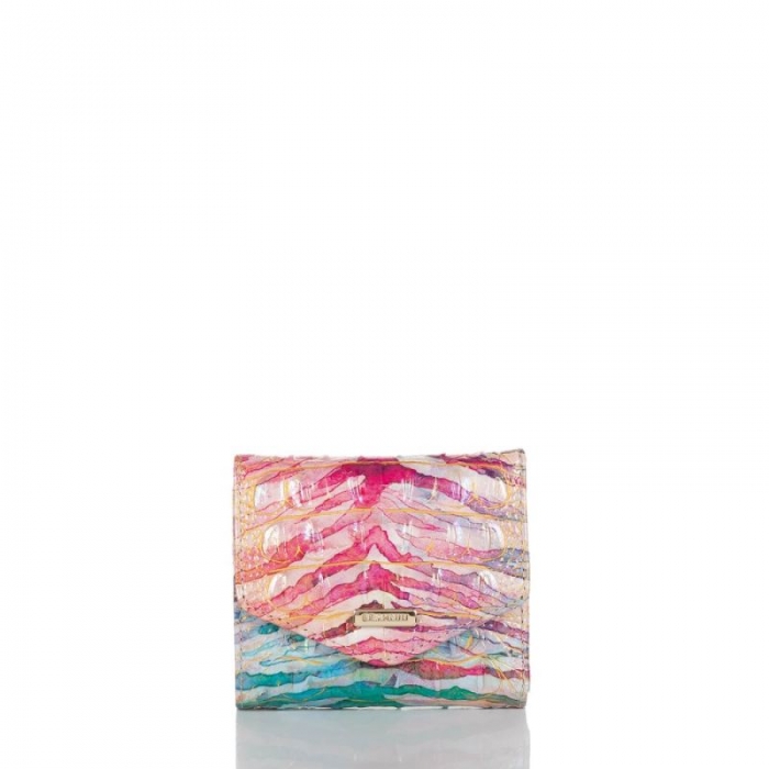 Brahmin | Women's Small Veronica Entice Ombre Melbourne | Quick Ship!
