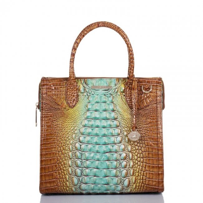 Brahmin | Women's Caroline Cactus Ombre Melbourne | Quick Ship!