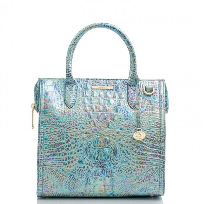 Brahmin | Women's Caroline Wonderland Melbourne | Quick Ship!