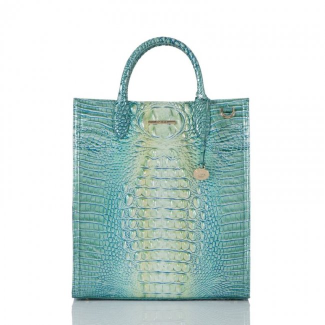 Brahmin | Women's Monique Seafoam Ombre Melbourne | Quick Ship!