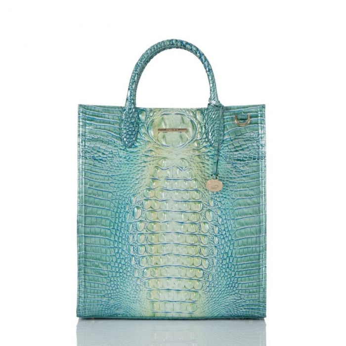 Brahmin | Women's Monique Seafoam Ombre Melbourne | Quick Ship!