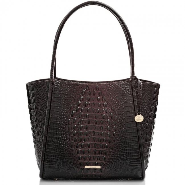 Brahmin | Women's Bailee Cocoa Ombre Melbourne | Quick Ship!