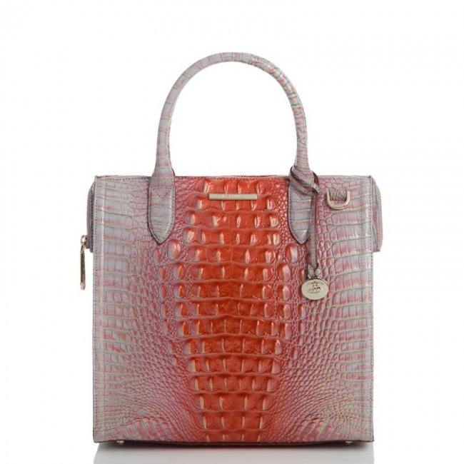 Brahmin | Women's Caroline Flirty Ombre Melbourne | Quick Ship!