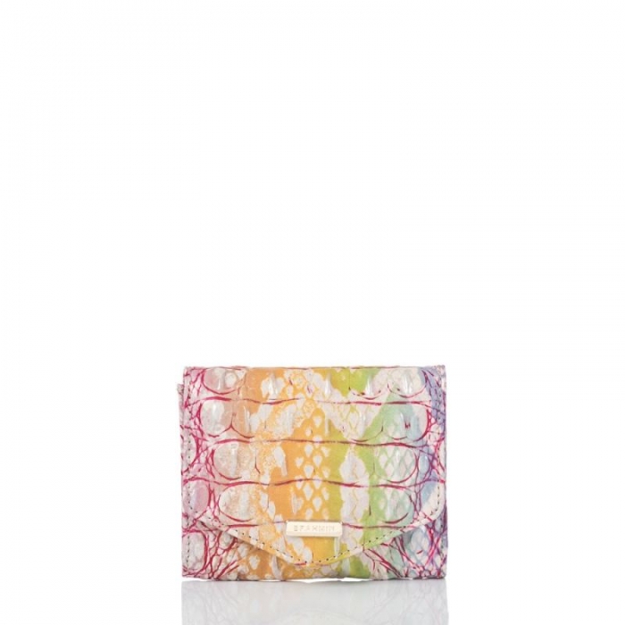 Brahmin | Women's Small Veronica Optimism Melbourne | Quick Ship!