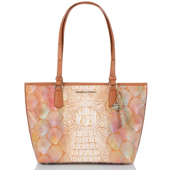 Brahmin | Women's Medium Asher Scallop Bondi | Quick Ship!