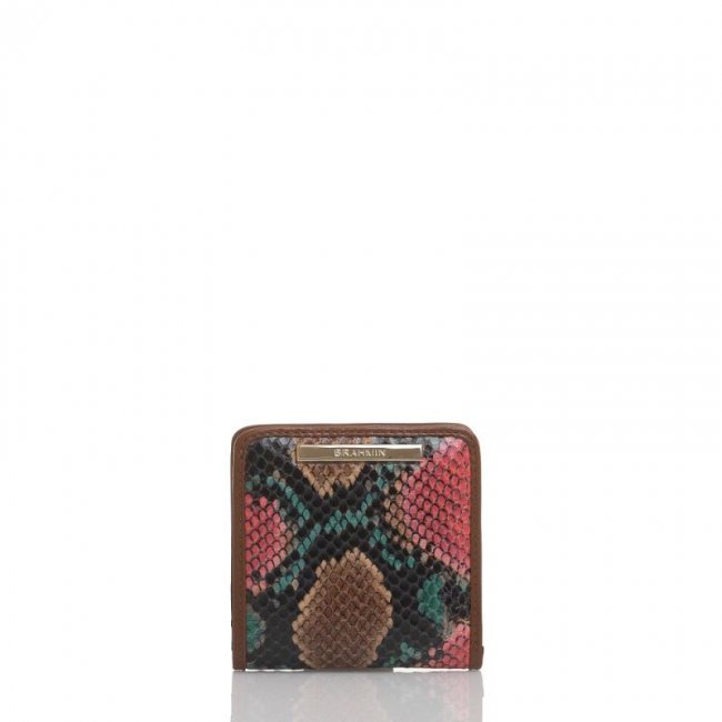 Brahmin | Women's Jane Multi Caladesi | Quick Ship!