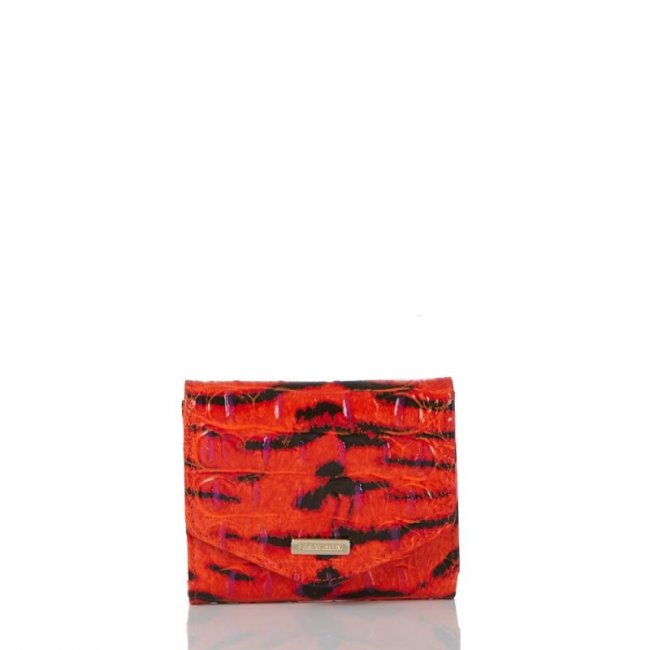 Brahmin | Women's Small Veronica Pink Feline Ombre Melbourne | Quick Ship!
