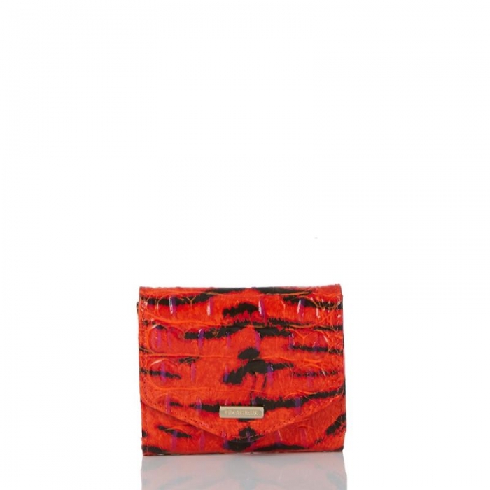 Brahmin | Women's Small Veronica Pink Feline Ombre Melbourne | Quick Ship!
