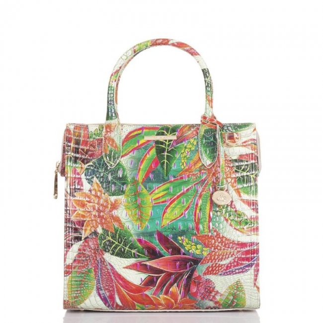 Brahmin | Women's Caroline Utopia Melbourne | Quick Ship!