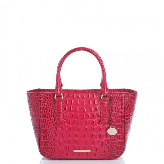 Brahmin | Women's Small Ashlee Sweetheart Ombre Melbourne | Quick Ship!
