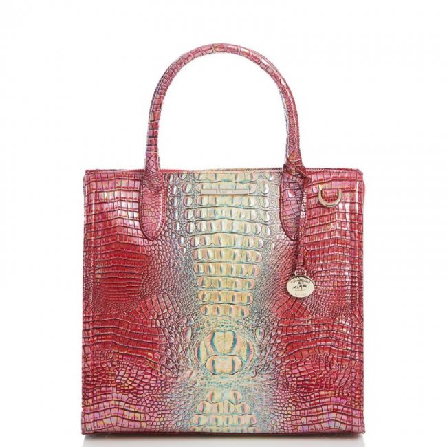 Brahmin | Women's Caroline Dragonfruit Ombre Mini Melbourne | Quick Ship!