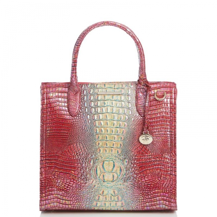 Brahmin | Women's Caroline Dragonfruit Ombre Mini Melbourne | Quick Ship!