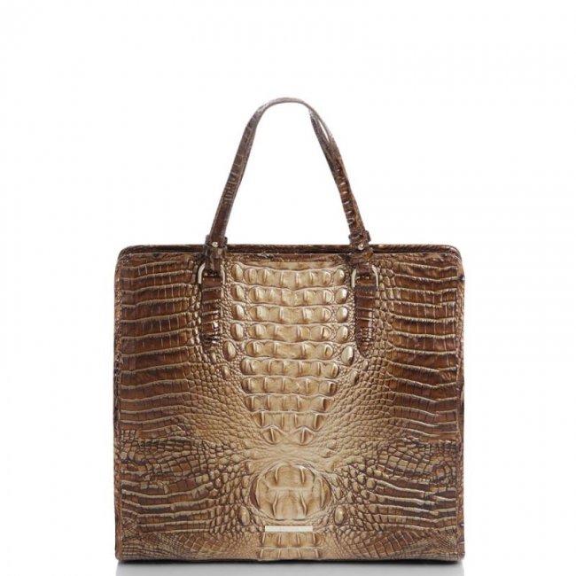 Brahmin | Women's Tia Teak Ombre Melbourne | Quick Ship!