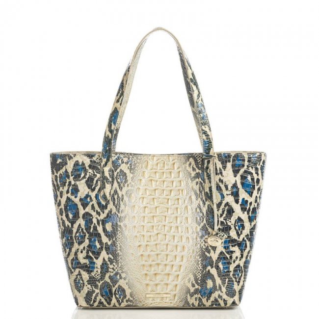 Brahmin | Women's Brooke Jaguar Ombre Melbourne | Quick Ship!