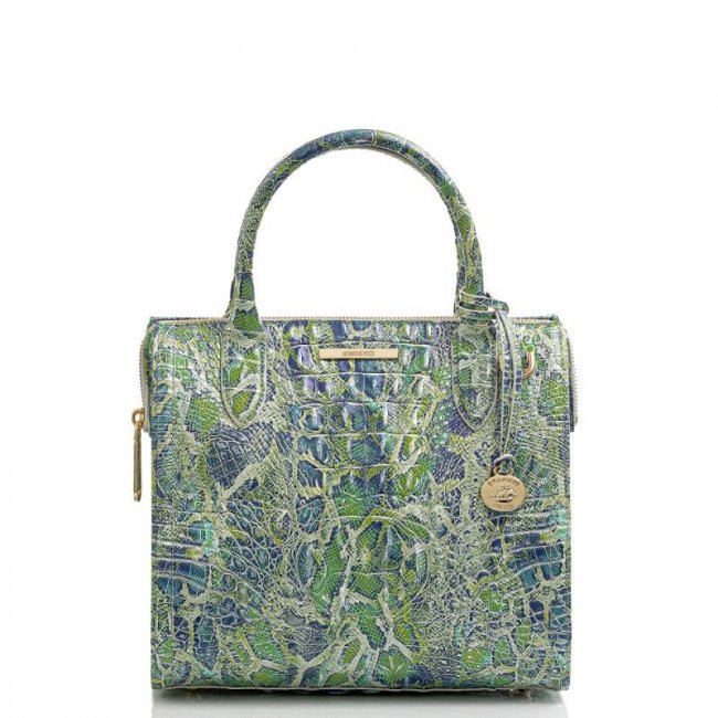 Brahmin | Women's Small Caroline Green Viper Melbourne | Quick Ship!