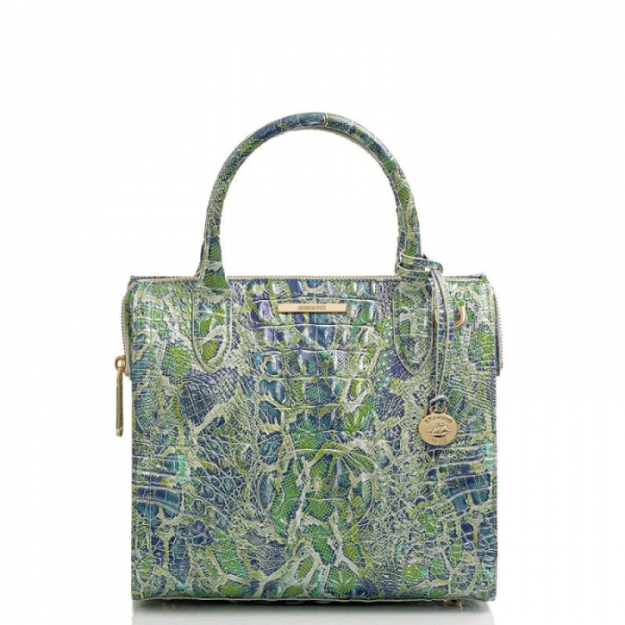Brahmin | Women's Small Caroline Green Viper Melbourne | Quick Ship!