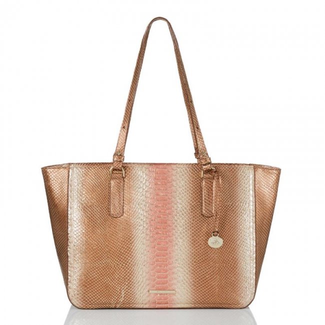 Brahmin | Women's Ashlee Natural CocoBay | Quick Ship!