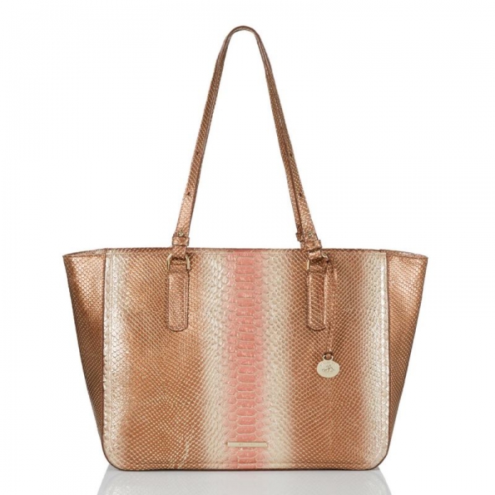 Brahmin | Women's Ashlee Natural CocoBay | Quick Ship!