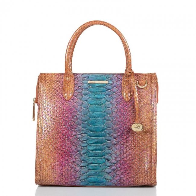 Brahmin | Women's Caroline Multi Stellaris | Quick Ship!