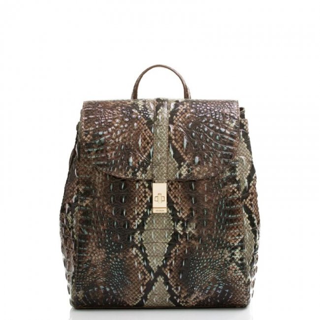 Brahmin | Women's Sadie Diamondback Ombre Melbourne | Quick Ship!