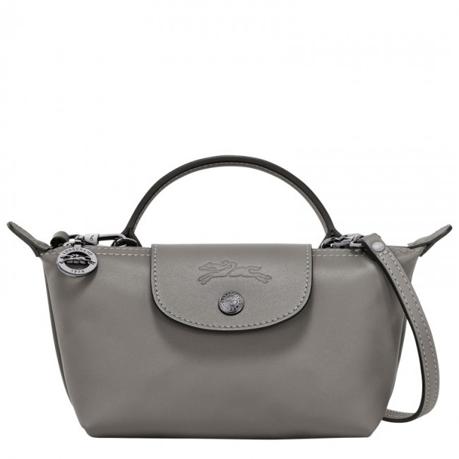 Longchamp Women's Le Pliage Xtra XS Pouch Turtledove - Leather | Turtledove