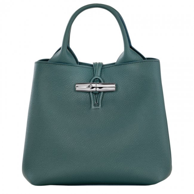 Longchamp Women's Le Roseau S Handbag Cedar - Leather | Cedar