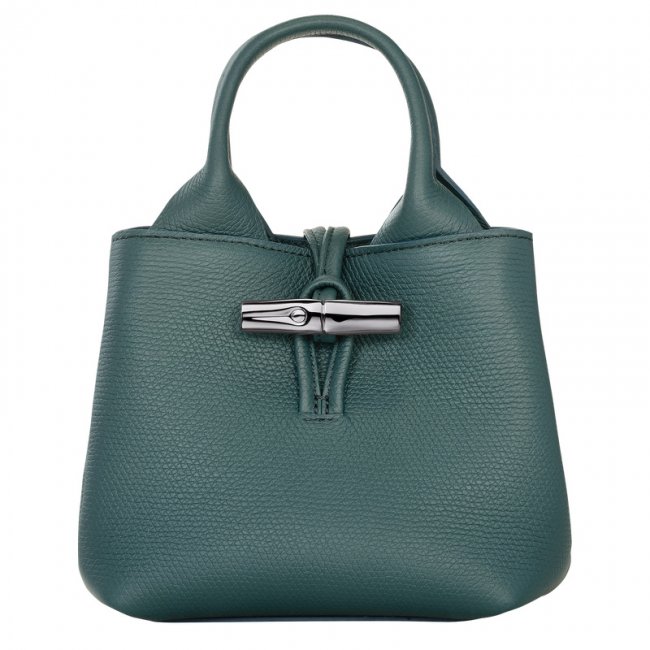 Longchamp Women's Le Roseau XS Handbag Cedar - Leather | Cedar